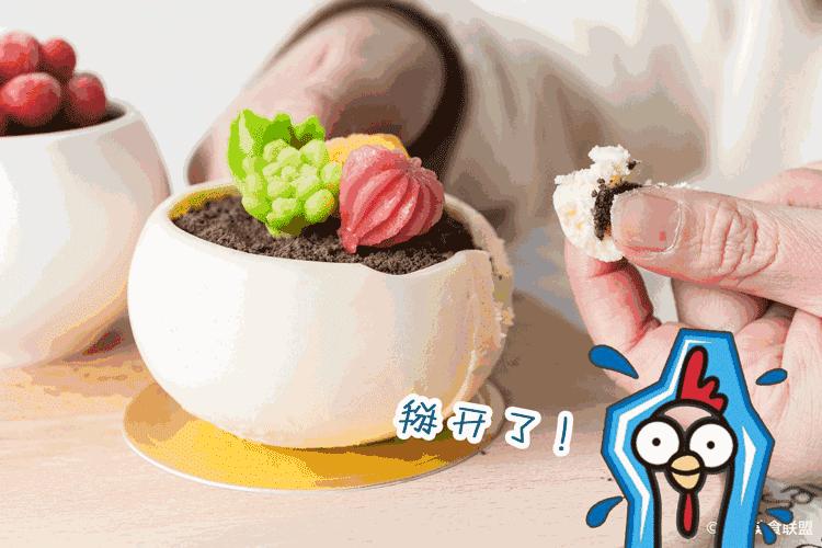 猎奇！昆明街边甜品店，居然每天200美少女拥挤这里生吃多肉