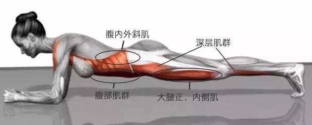 初学者每天练多久的平板支撑,坚持练平板支撑可以塑形吗