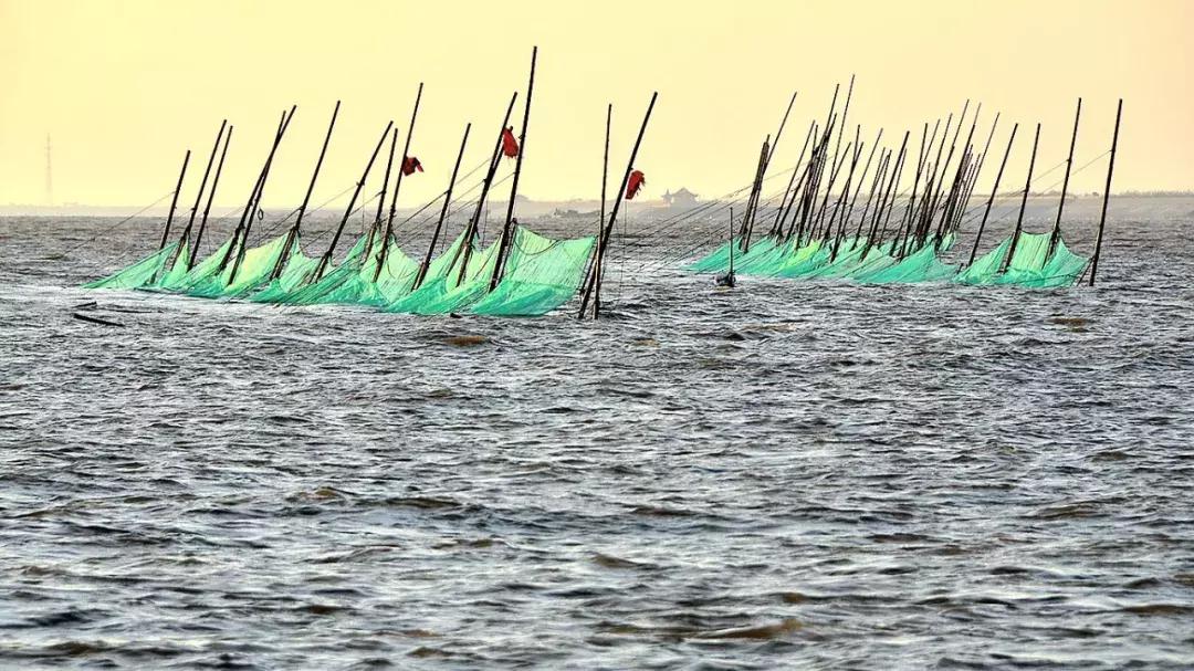 身虽远心已至怎么回复,身虽远心未远