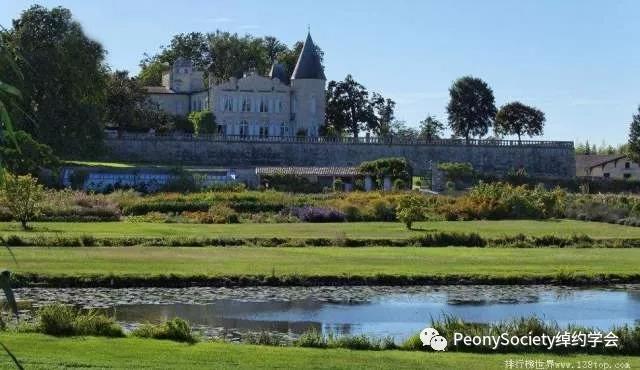 杯酒人生红酒品鉴,杯酒人生品味生活