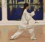 太极二十四式入门基本动作,太极入门学24式吗