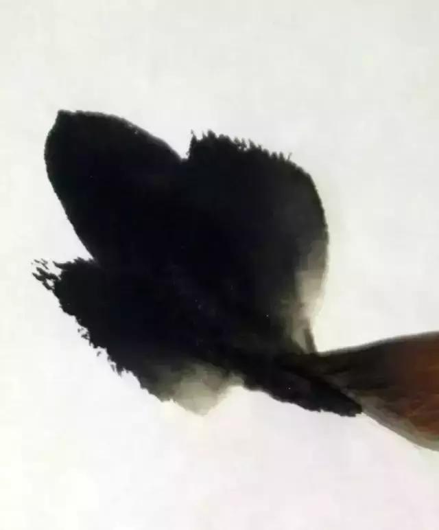 果果小写意牡丹画法教学视频,王绣写意牡丹画法零基础视频