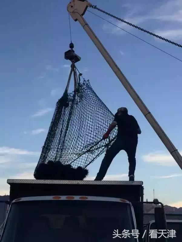 天津大胡同市集,天津最全年货市集都在这儿了