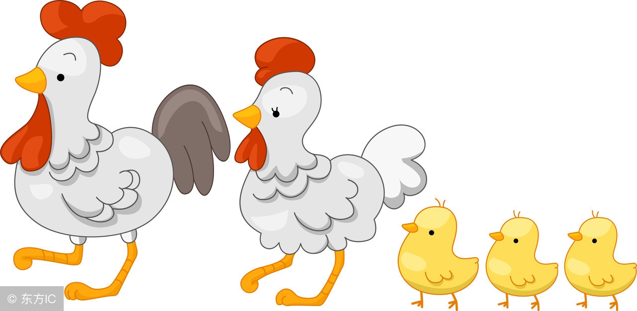 属鸡的人今年犯太岁如何化解,2023年属鸡犯太岁的最佳解决方法