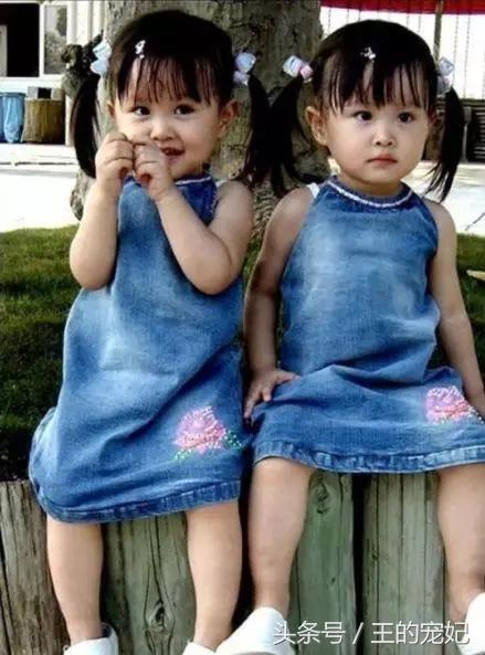 苟姓氏里的最美情诗,藏在绝美古诗词里的姓氏