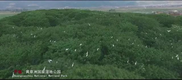 云南泸西春节旅游,泸西红高原