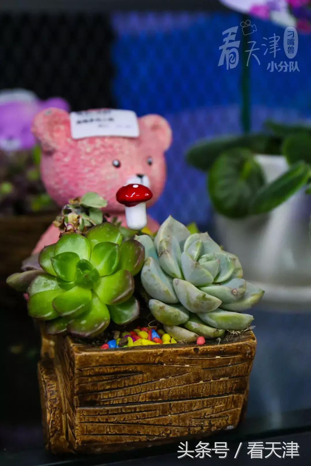 天津大胡同市集,天津最全年货市集都在这儿了