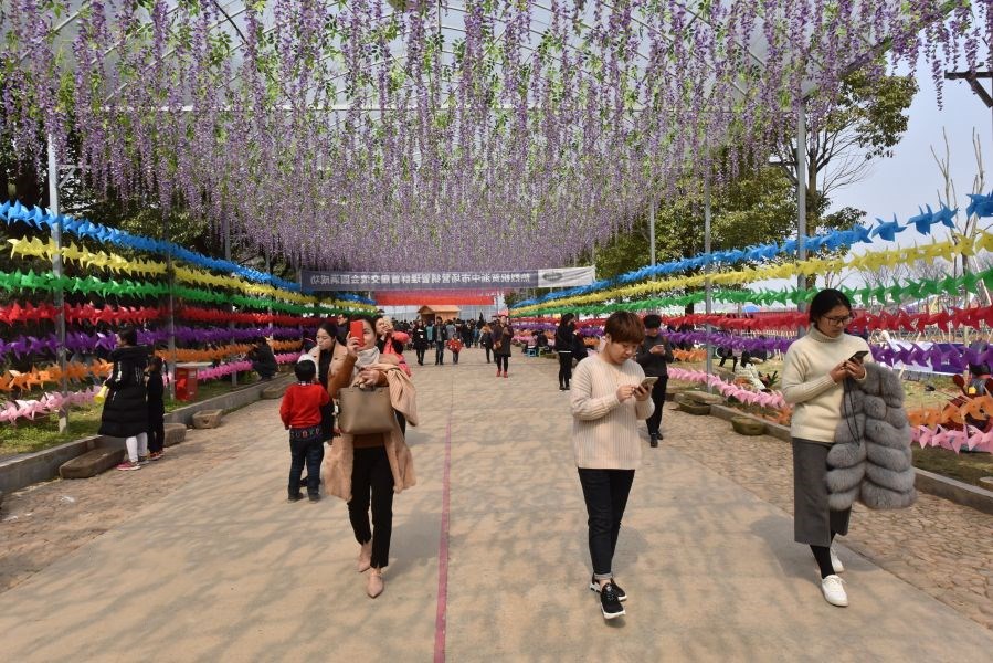 金华近期活动,金华市最新活动