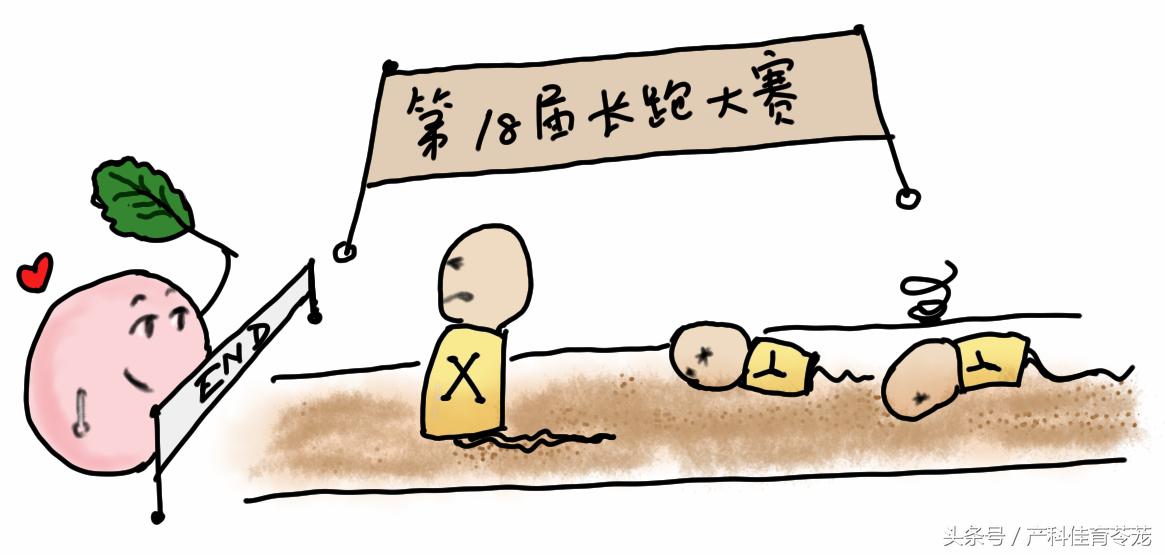 生男育女怎样才能如愿以偿,什么决定生男或生女