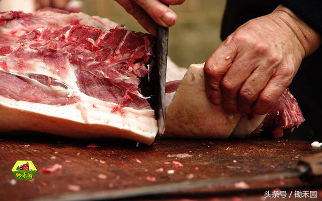 过年长胖十几斤该如何减肥,过年期间长胖怎么减肥