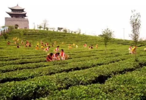 云南过大年,云南过大年怎么样的