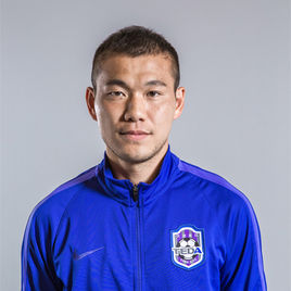 中国队组建一支历史最佳足球队,组建一支足球队都是从中冠开始吗