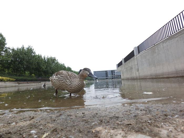 卡西欧fr100l和卡西欧fr100区别,卡西欧exfr10和fr100的区别
