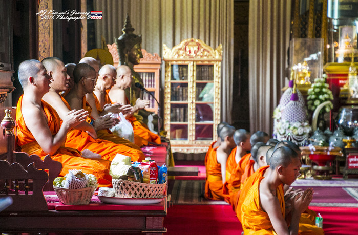 清迈佛寺之城等你采撷的泰北玫瑰,清迈环球旅行家