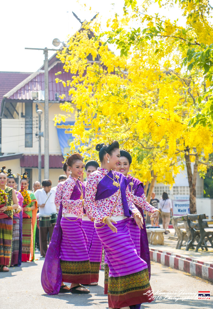 清迈佛寺之城等你采撷的泰北玫瑰,清迈环球旅行家