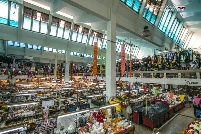 泰国清迈县旅行者,清迈佛寺之城等你采撷的泰北玫瑰