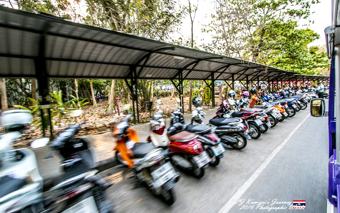 清迈佛寺之城等你采撷的泰北玫瑰,清迈环球旅行家
