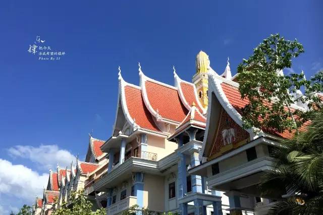 泰国低价团骗局,低价泰国游的骗局