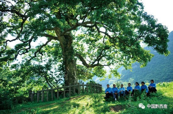 魅力打凼，一个中国少数民族特色村寨的“三绝”“三谜”~