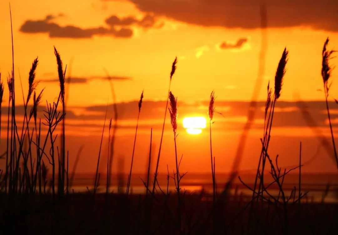 土著带你逛古村,土著带你逛北京