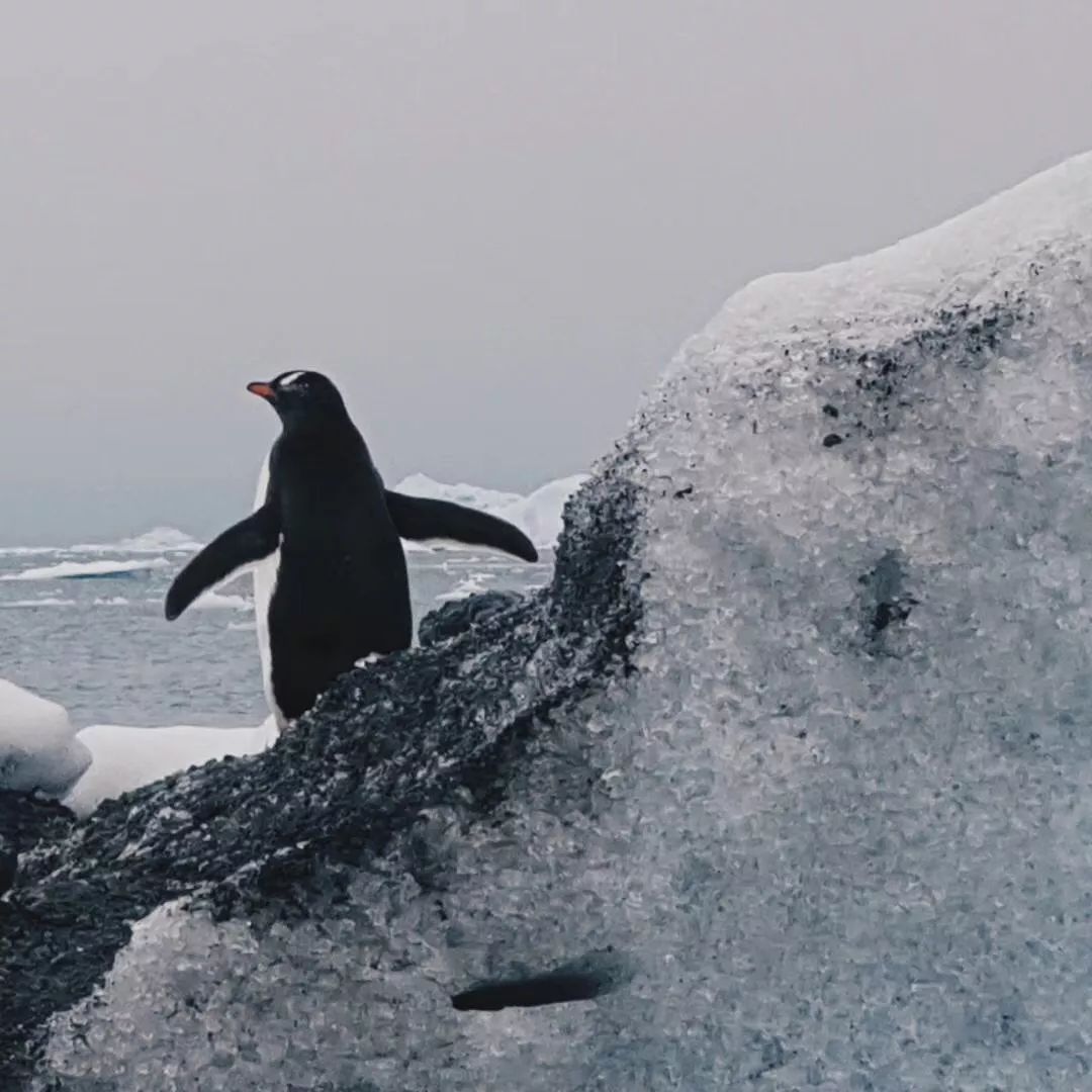 经常去旅行的人钱从哪来,去旅游的钱从哪里来的