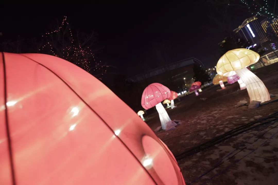 沈阳元宵节逛花灯,沈阳元宵灯会攻略