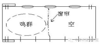 春季温差大鸡舍通风,鸡舍屋顶通风换气最佳方法
