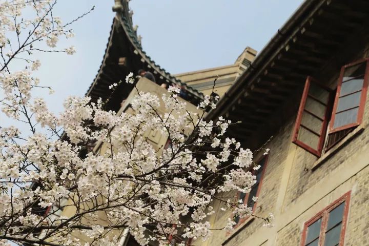 武大的歌曲视频,武大最好听歌曲