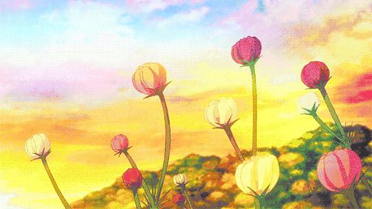 陇南梅园风景区,陇南康县梅园