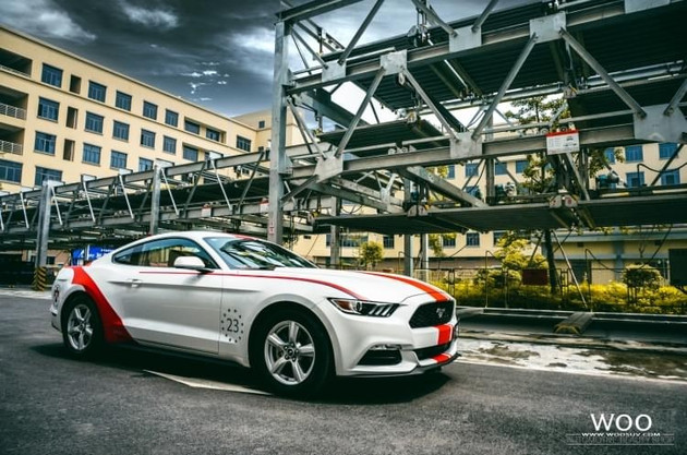 情胜策略live,情胜策略