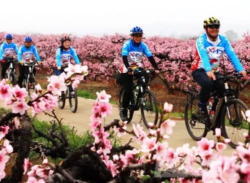 广济桃花几月开始,2020广济桃花开了吗