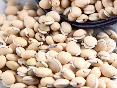 湿气不除，减肥无功？看看名老中医怎么说