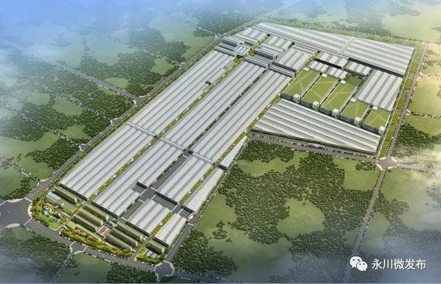 永川高新区国家级基地,永川高新区最新规划