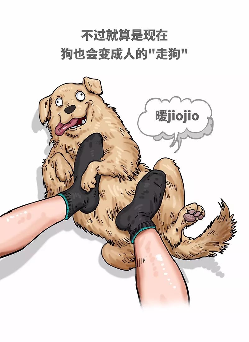 狗年一定旺的狗狗,狗年了你知道狗的种类有哪些吗