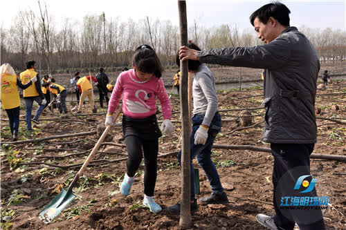 “爱上南通——添绿家园”中外志愿者共同植树为南通添绿