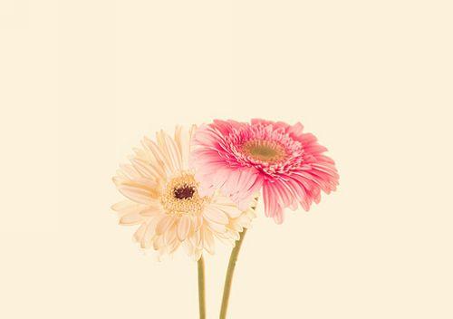 去泰国必买的护肤品,去泰国必买护肤品清单