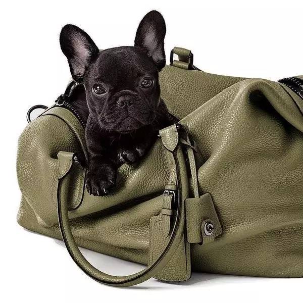 这个美国三线品牌，生生被中国人炒成了“国际大牌”！