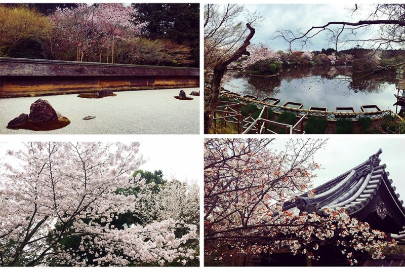 京都奈良购物攻略,日本东京京都的购物攻略