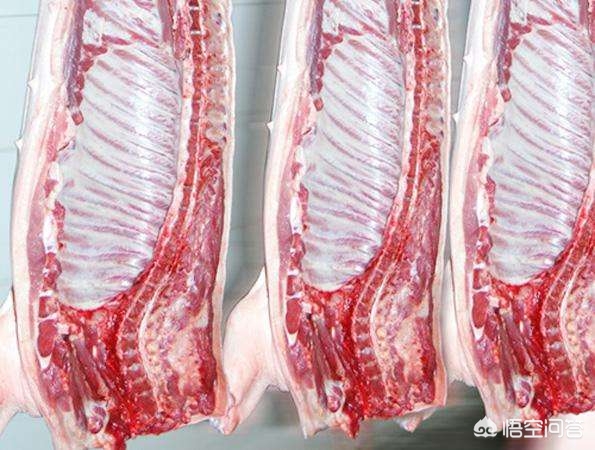 尸体为什么会发臭,尸体多久才会出现尸臭