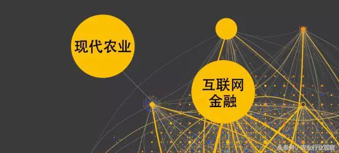 互联网农业创业技巧大全,农业互联网创业盈利的三种模式