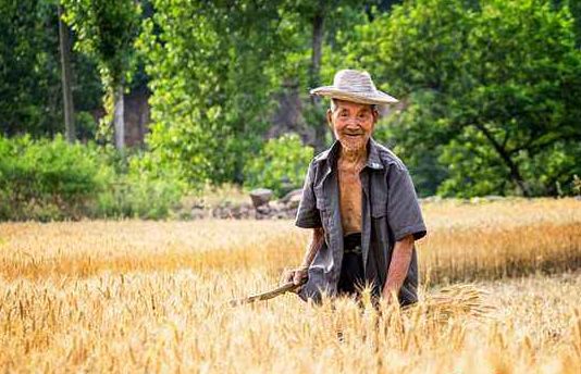 姜太公在此，醋里的宝鸡情怀