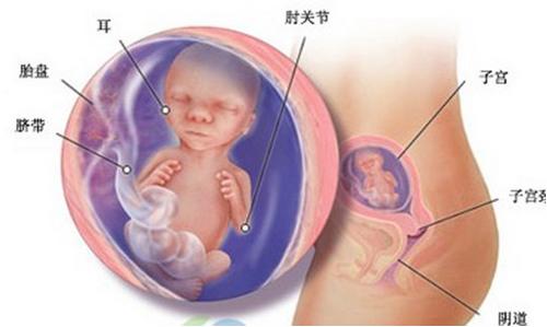刚刚做完四维又要做三维,刚做完四维彩超为什么会出点血