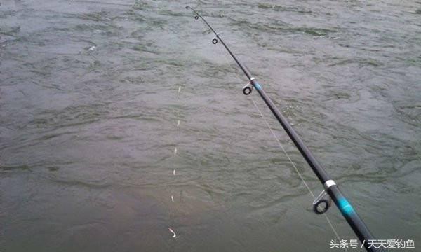 钓大鲫鱼绝招最佳方法,冬季钓鲫鱼大水面如何打窝
