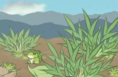 旅行青蛙如何赚钱,旅行青蛙攻略朋友喜欢吃什么