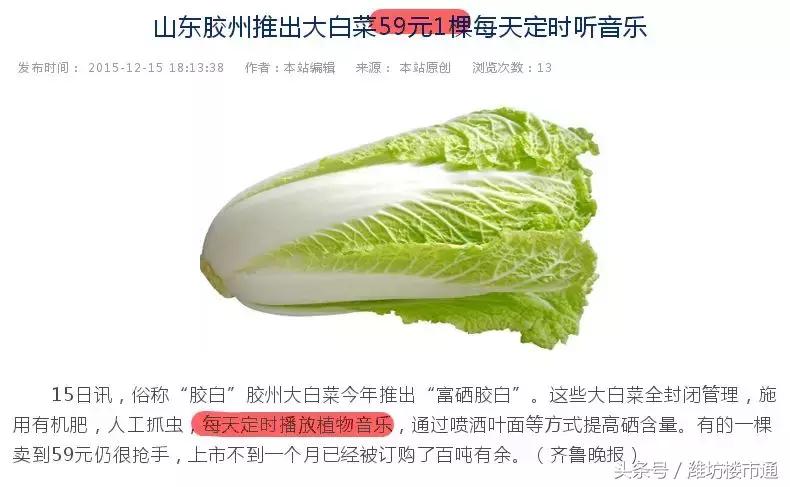 潍坊最便宜的佳乐家,潍坊佳乐家高新top店
