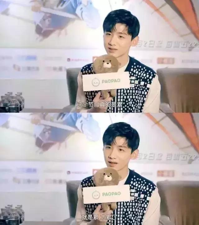 郑合惠子小白综艺,郑合惠子在综艺中的心酸