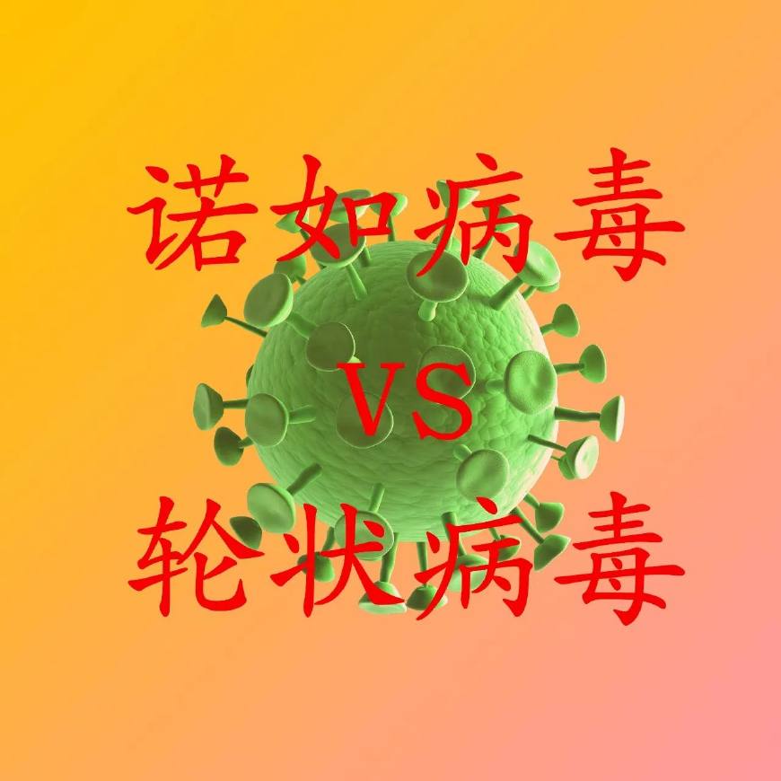 冬季小孩拉肚子一般是什么感染,宝宝冻肚子拉肚子怎么快速治好