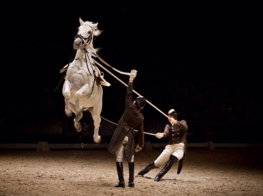 德奥丨一人出行又冷清又贵?快来优程拼团吧!来一次浪漫艺术之旅