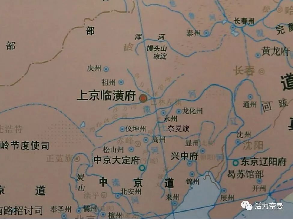 奈曼从哪儿来的,奈曼人真实身份