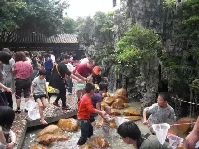 亲子游好去处!番禺周边的农家乐、游乐场、文化园…充实又好玩!